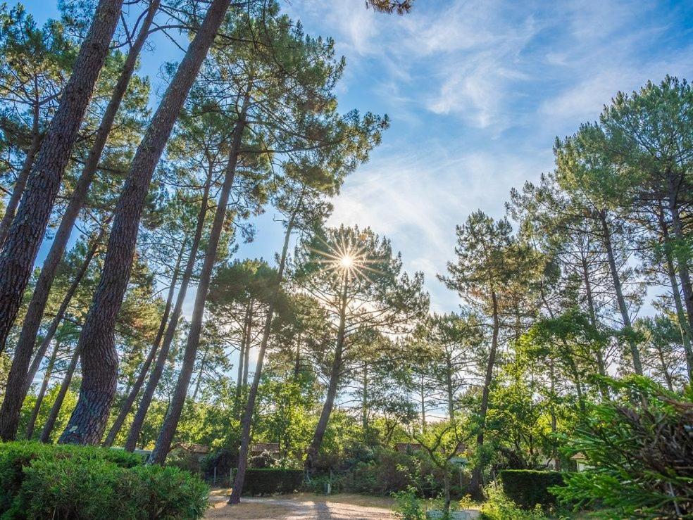 Camping Арес Екстер'єр фото
