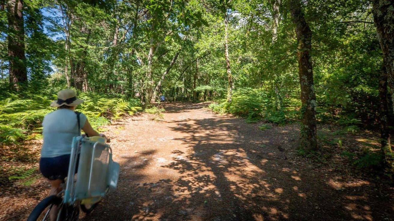 Camping Арес Екстер'єр фото
